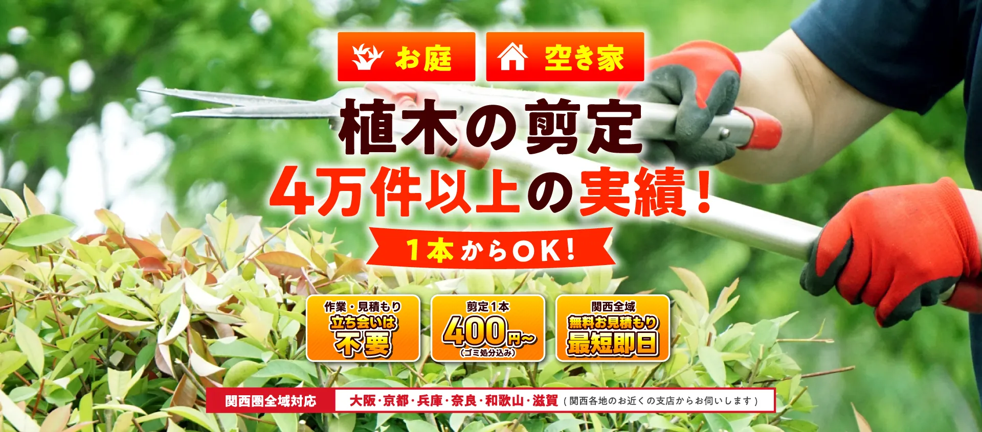 大阪でお庭や駐車場の草刈り最短即日で1平米300円から